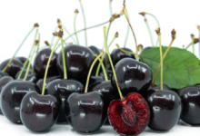 coed cherry